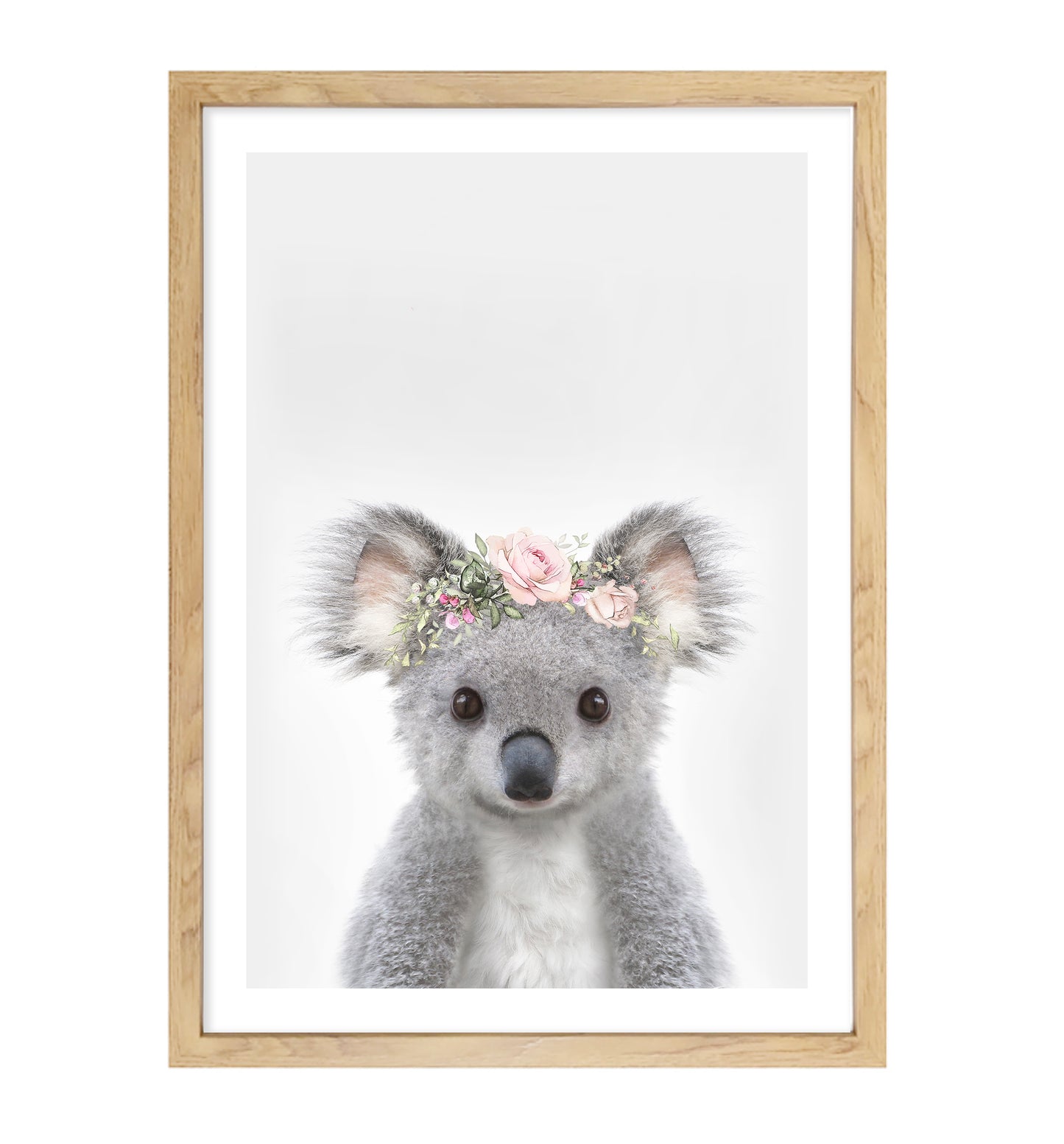 Australian Koala Rose Crown Art Print