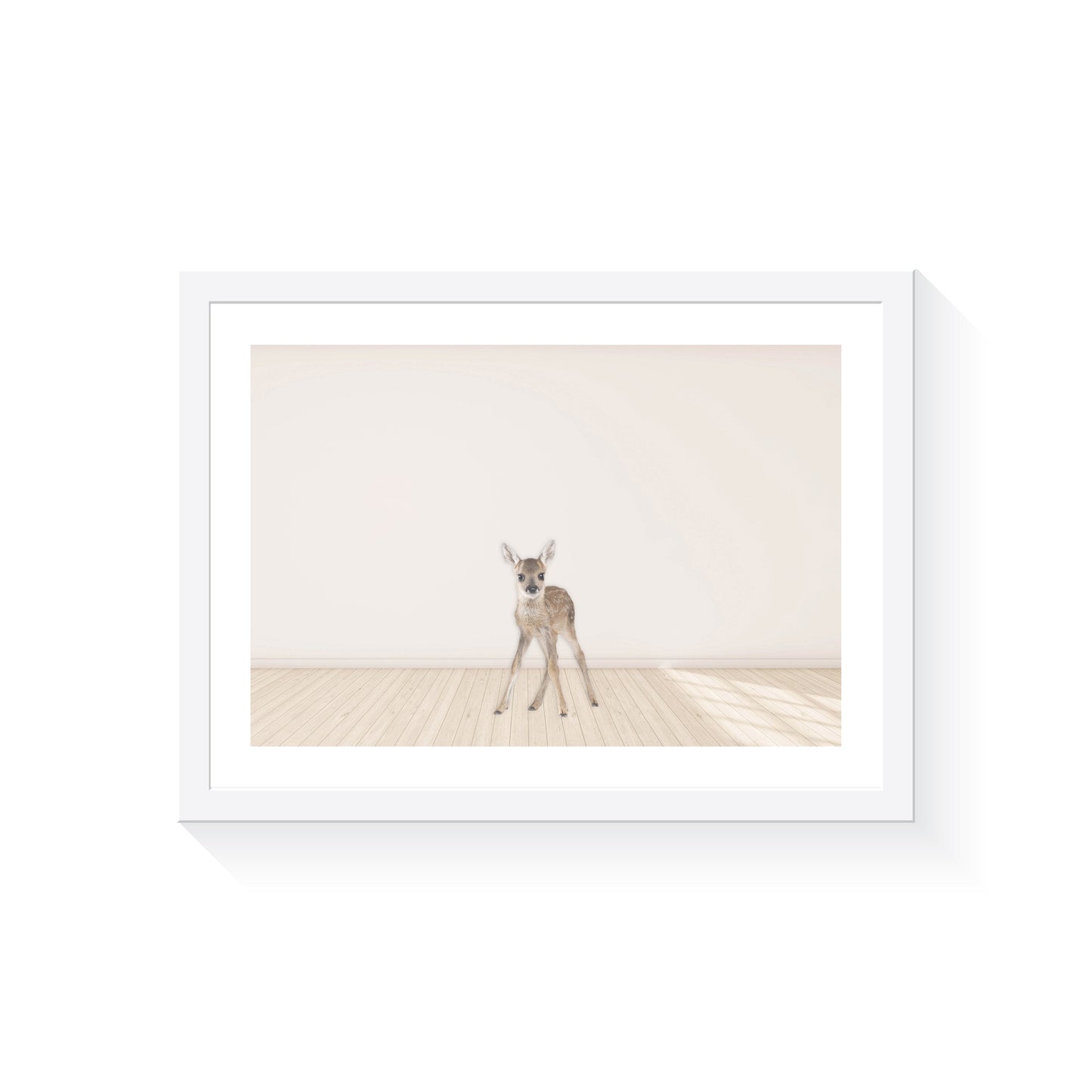 Baby Deer - Jenna Davie