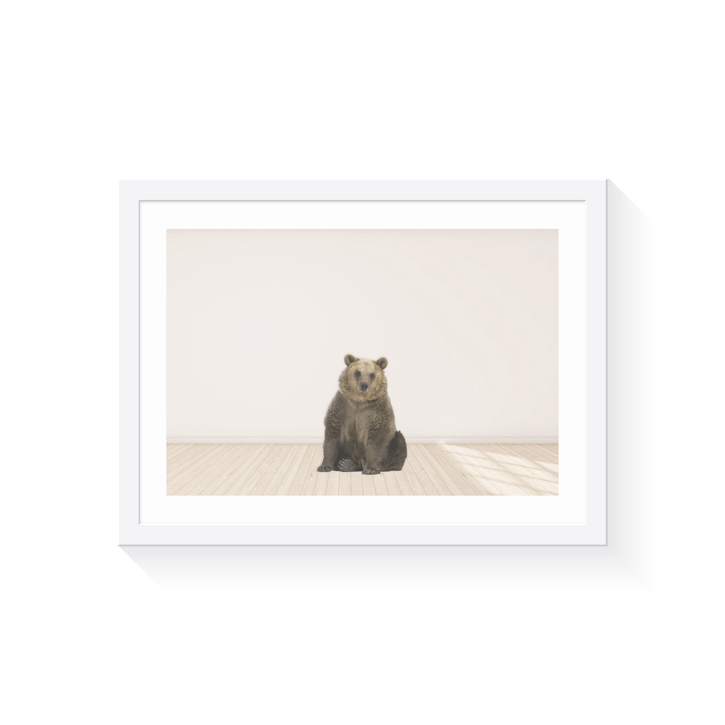Grizzly Bear