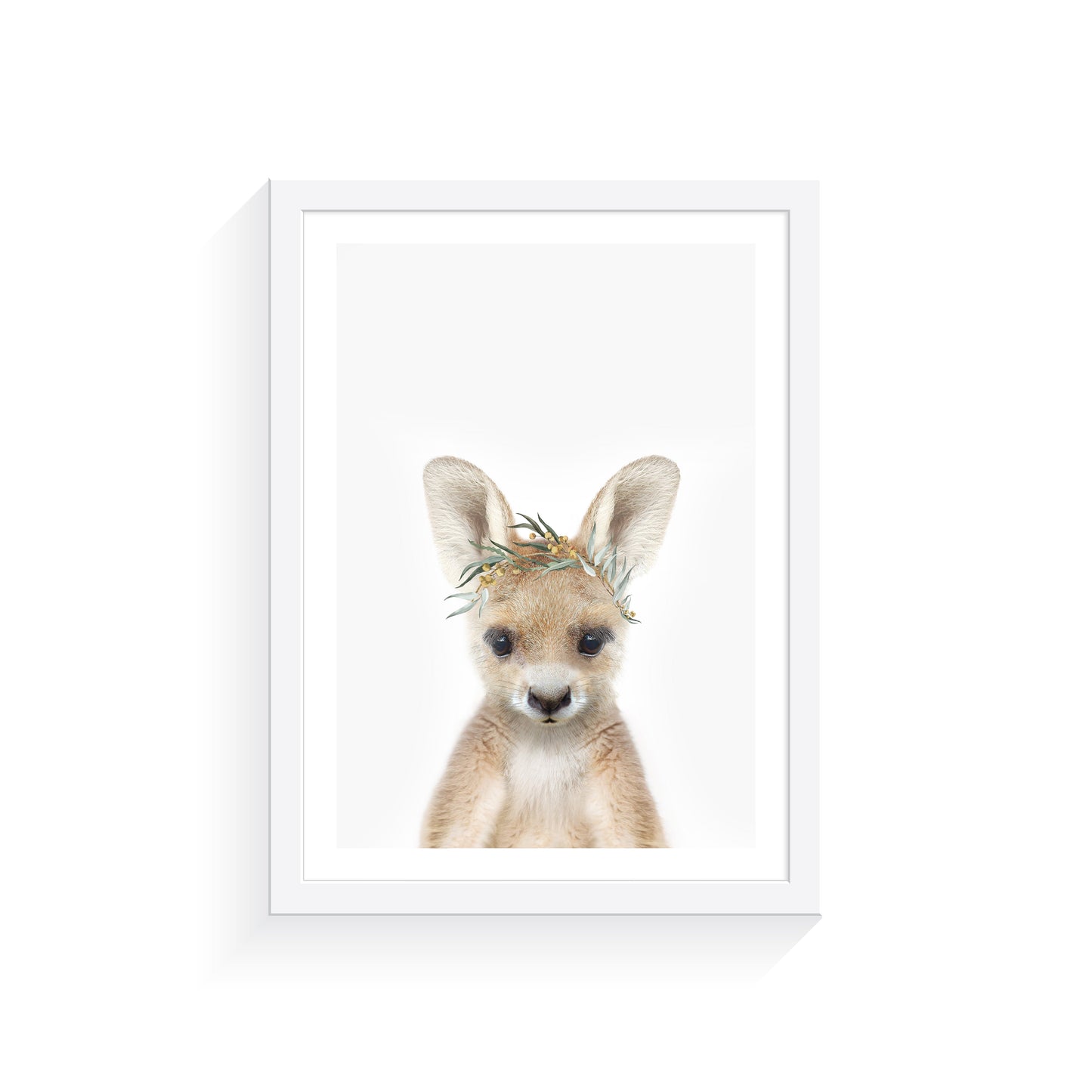Kangaroo Eucalyptus Crown A3 Print Only