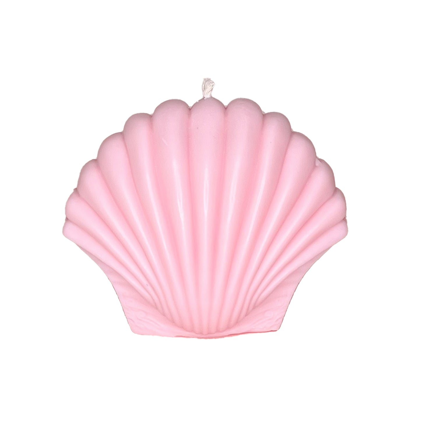 XL Sea Shell Candle