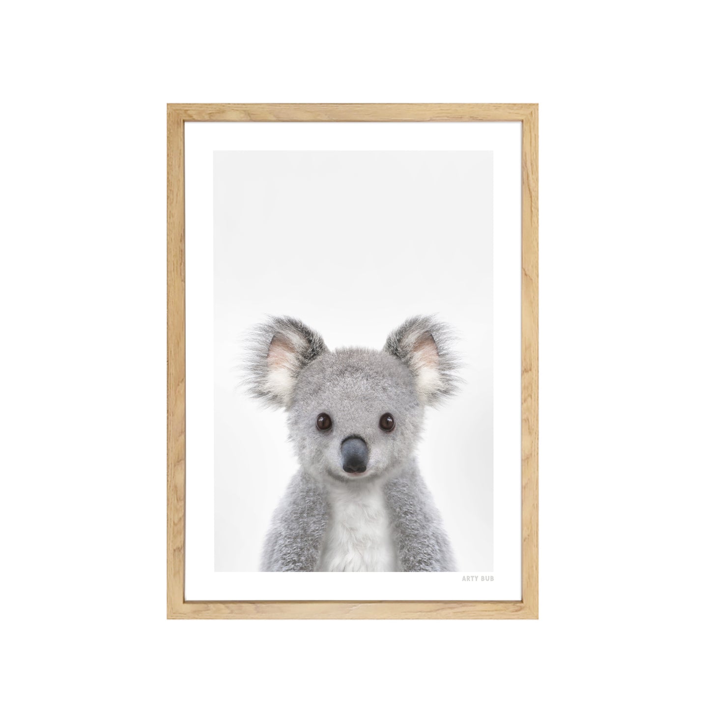 Australian Baby Koala Art Print
