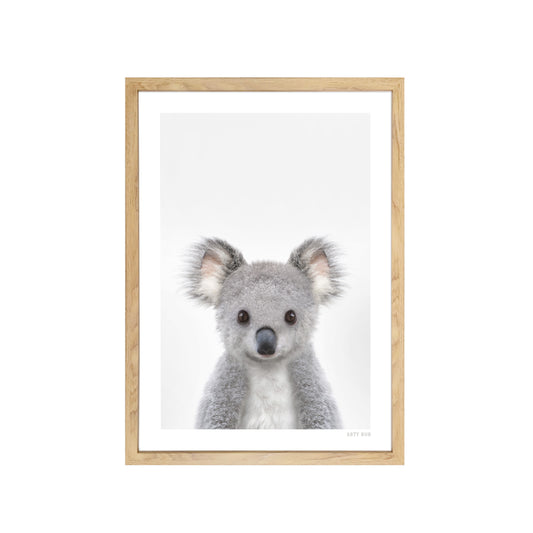 Australian Baby Koala Art Print