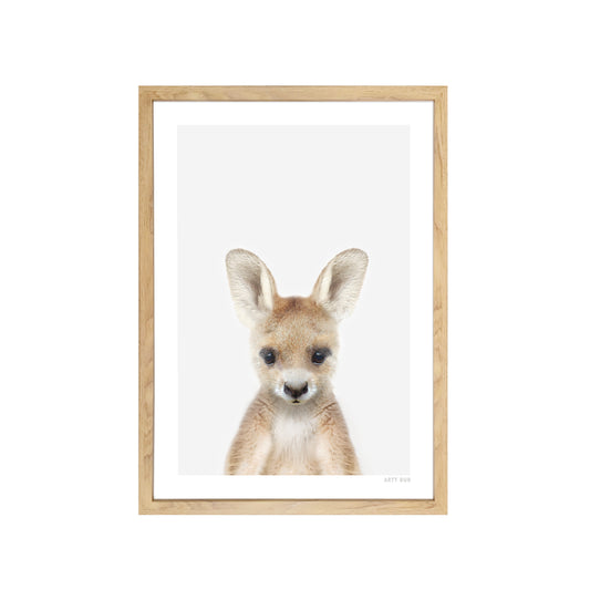 Australian Kangaroo Art Print