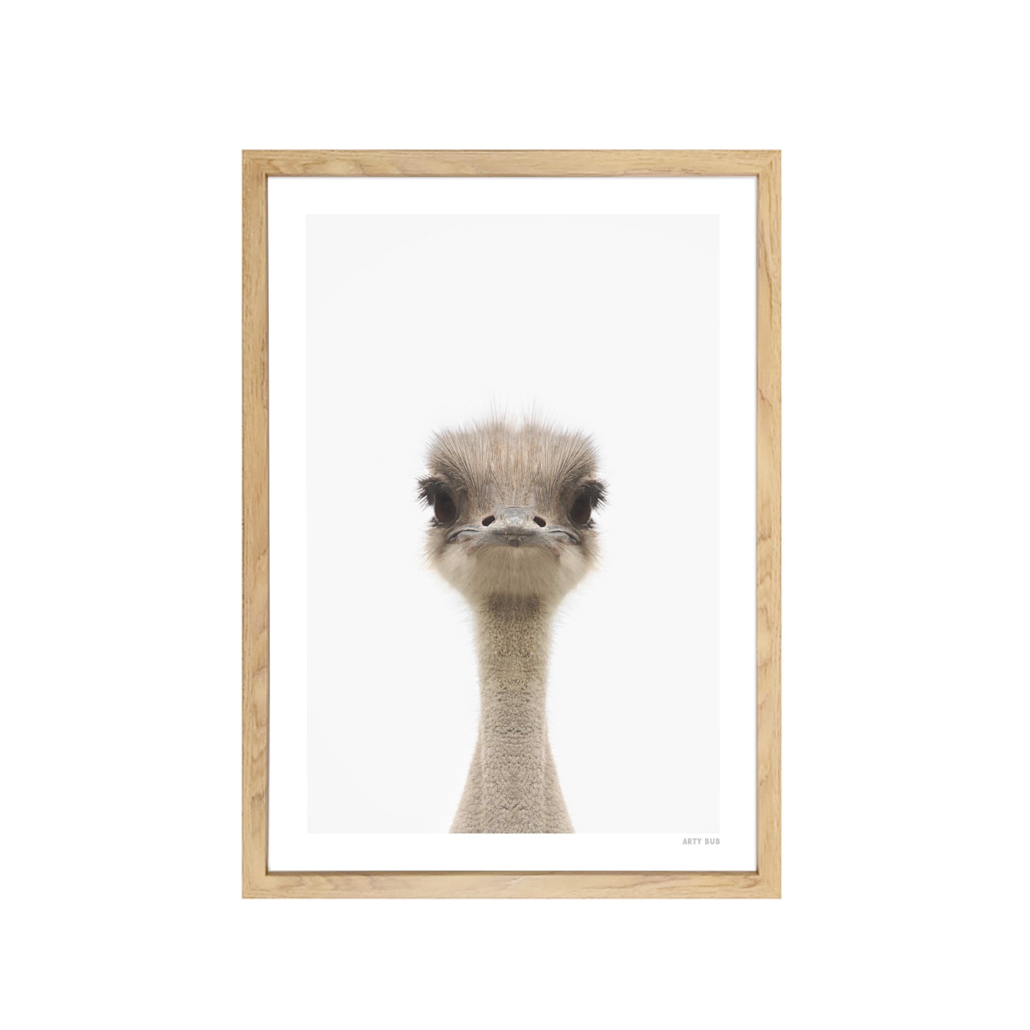 Australian Emu Art Print