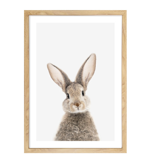 Bunny Rabbit Art Print