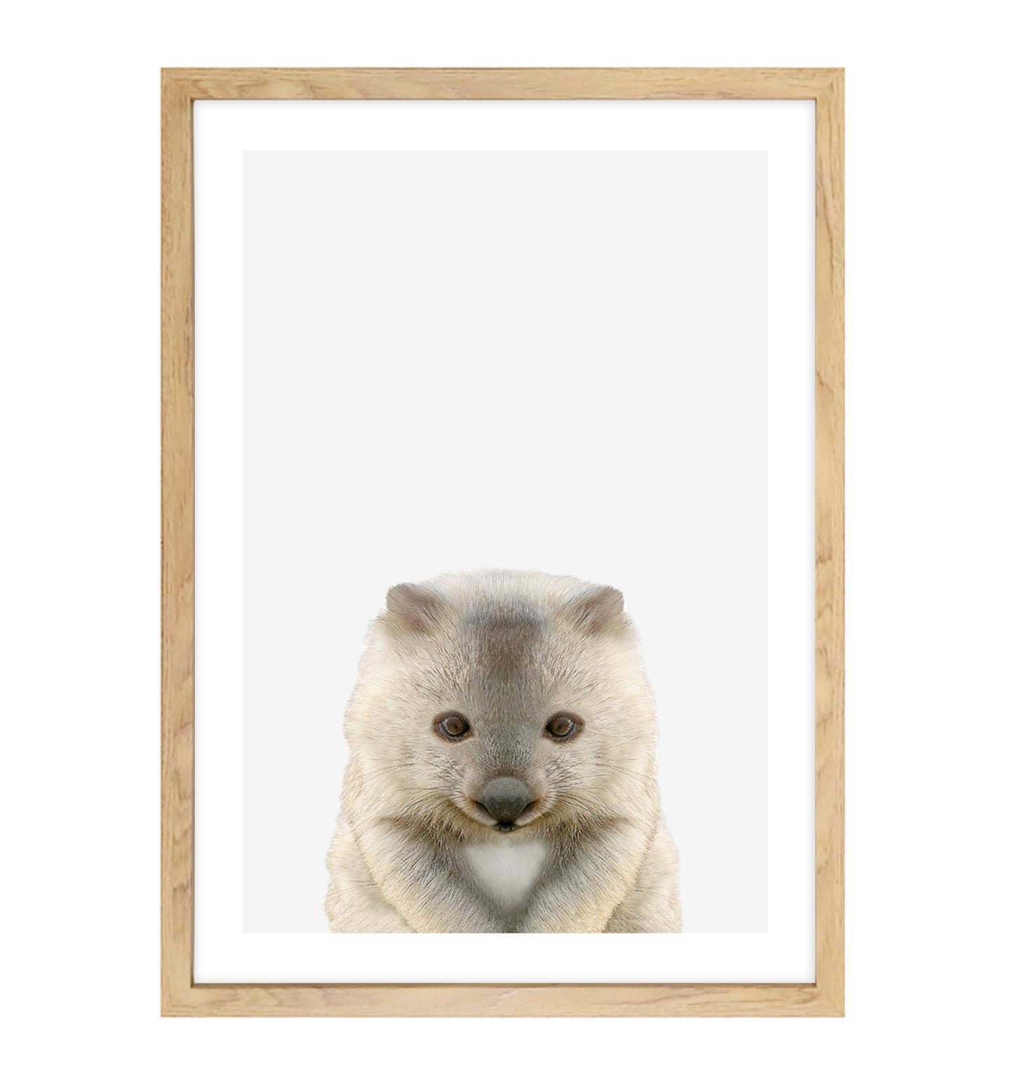 Australian Wombat Art Print