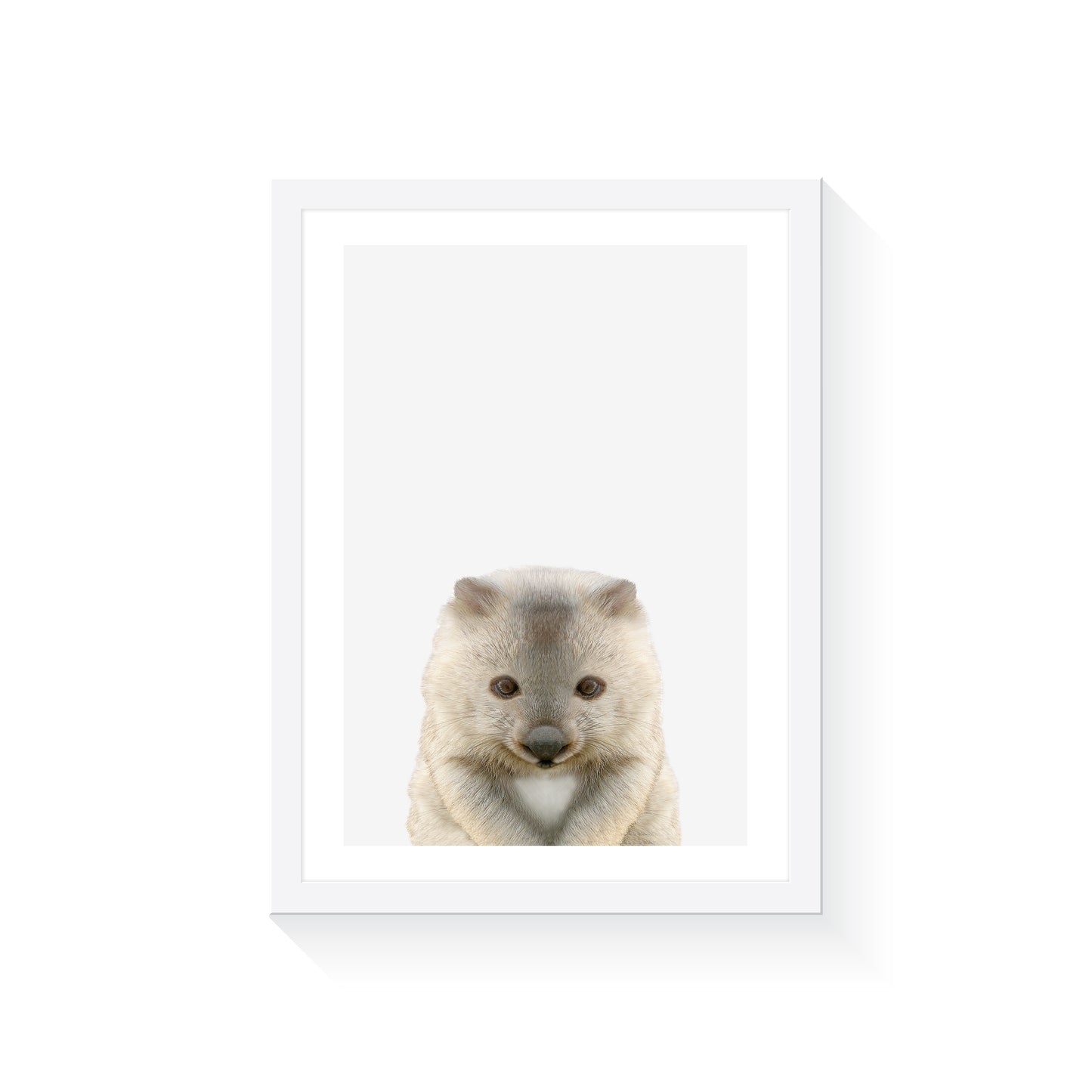 Australian Wombat Art Print