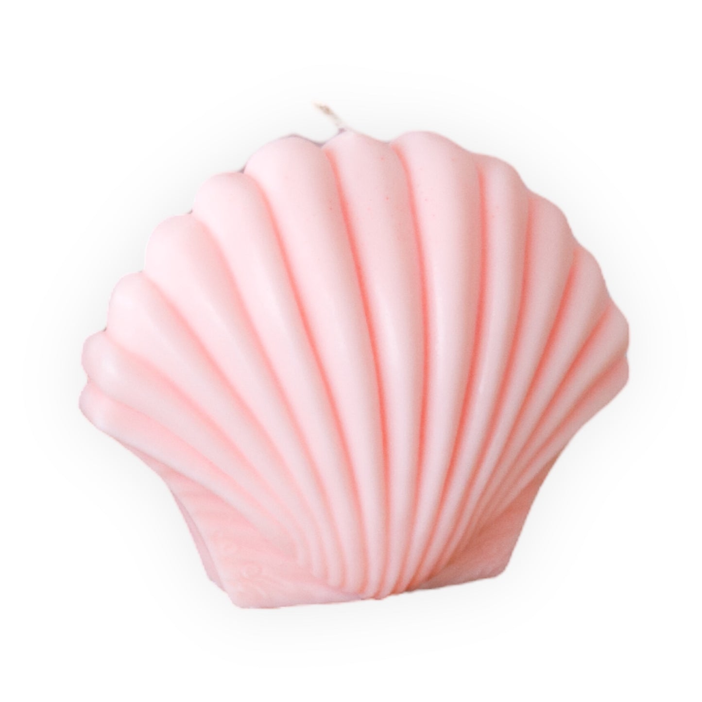 Shell Candle Scented