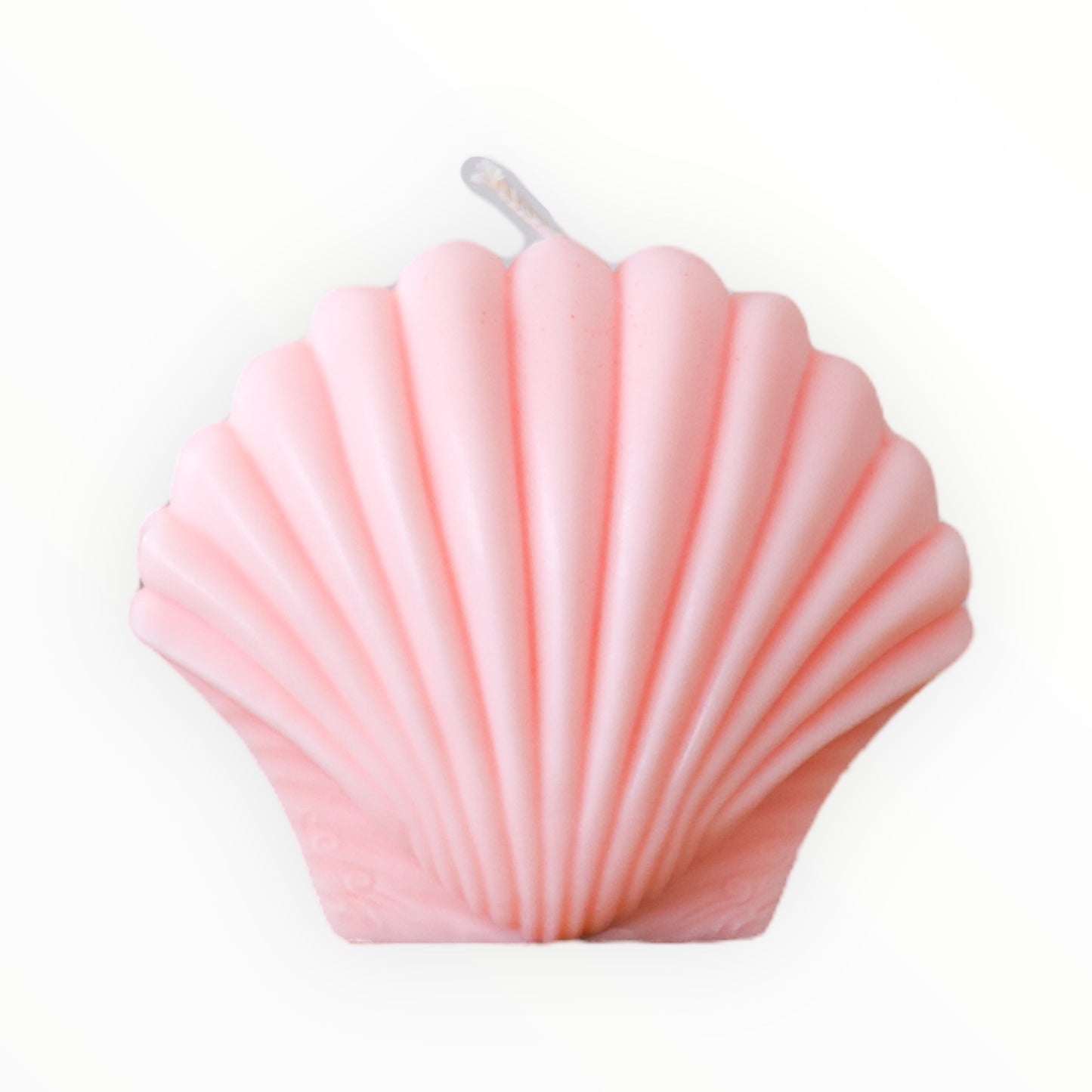 Shell Candle Scented