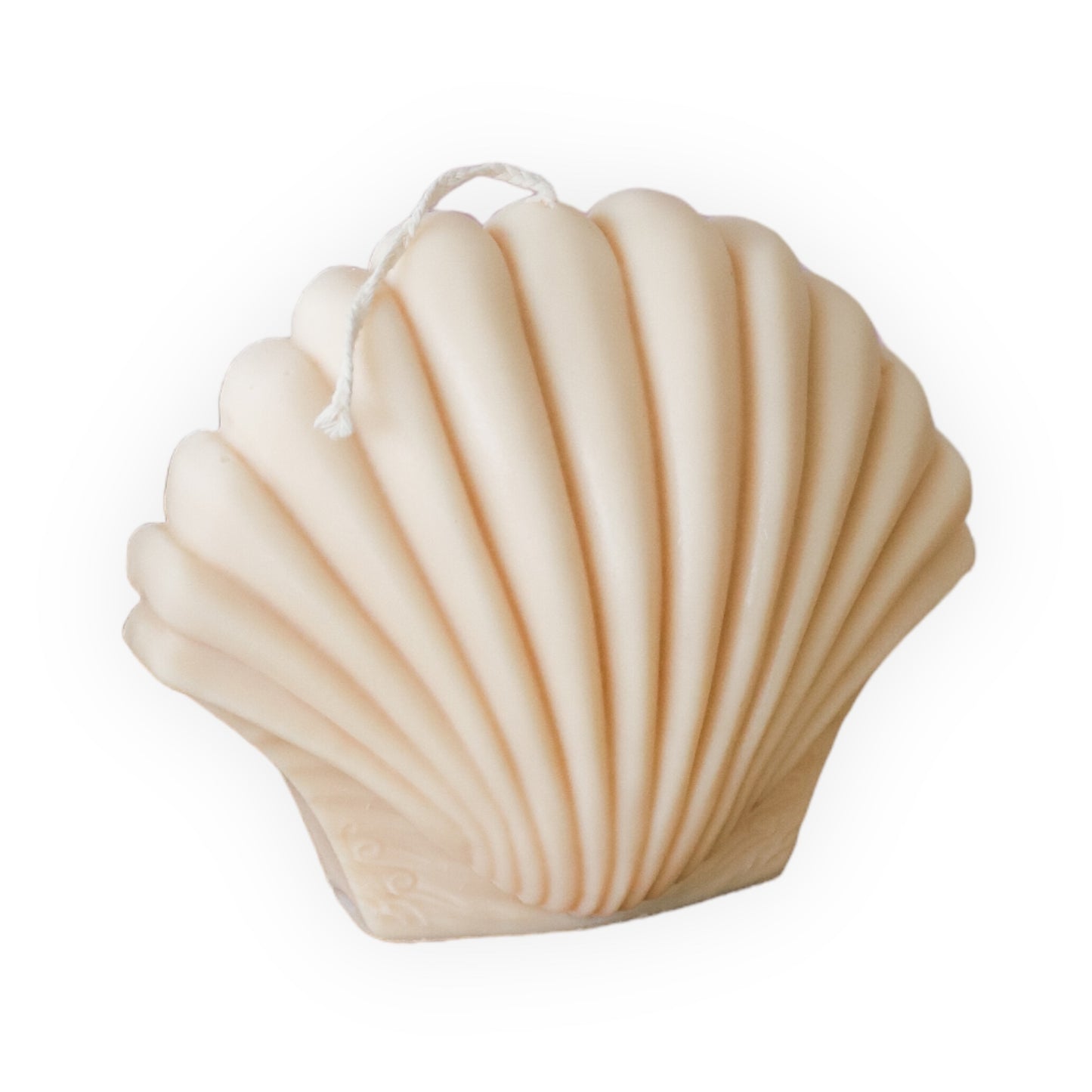 Shell Candle Scented