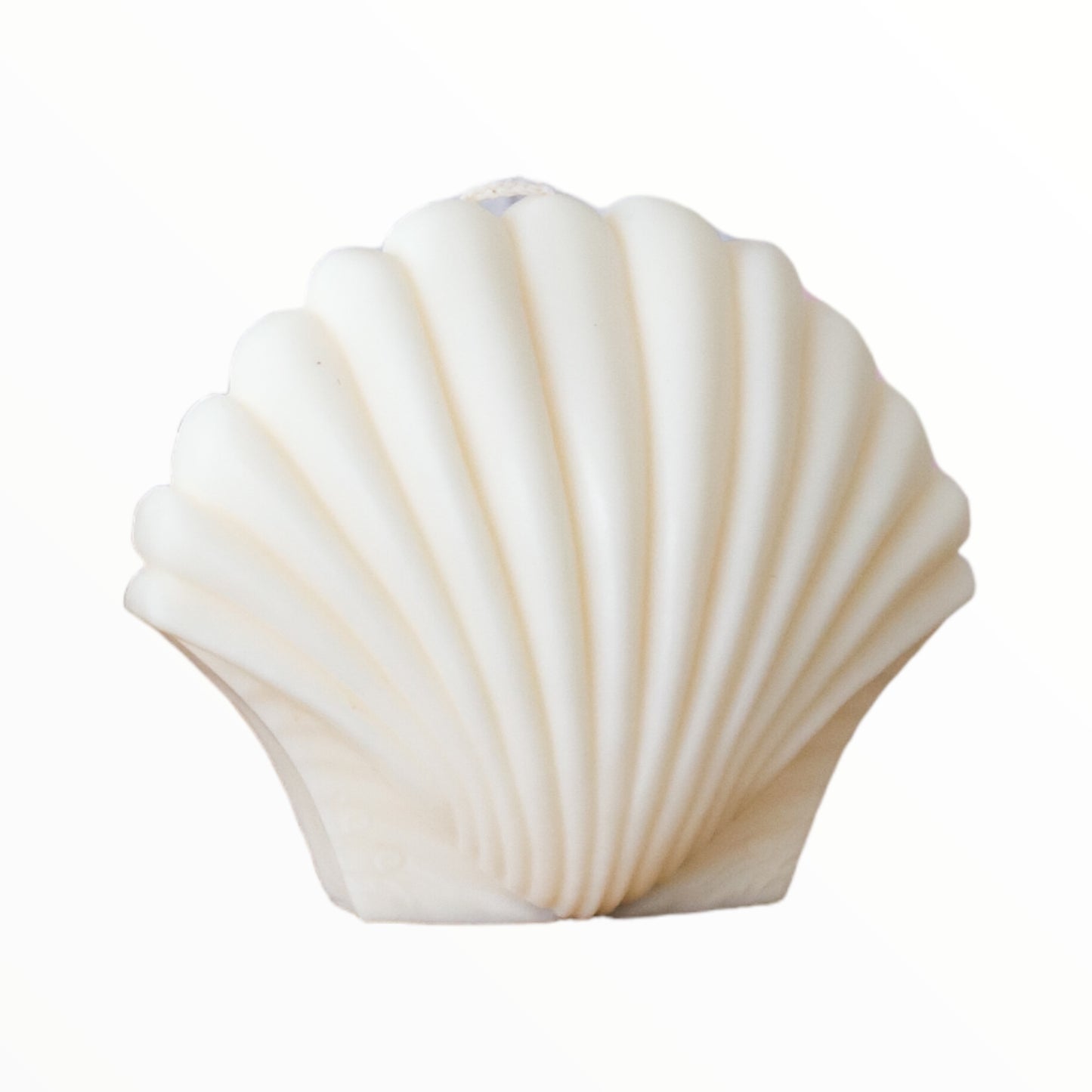 Shell Candle Scented