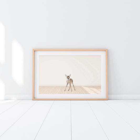 Baby Deer - Jenna Davie