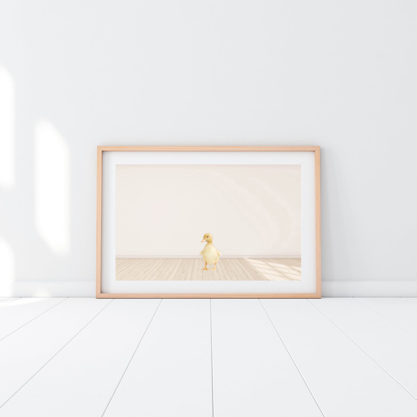 Baby Duckling - Jenna Davie