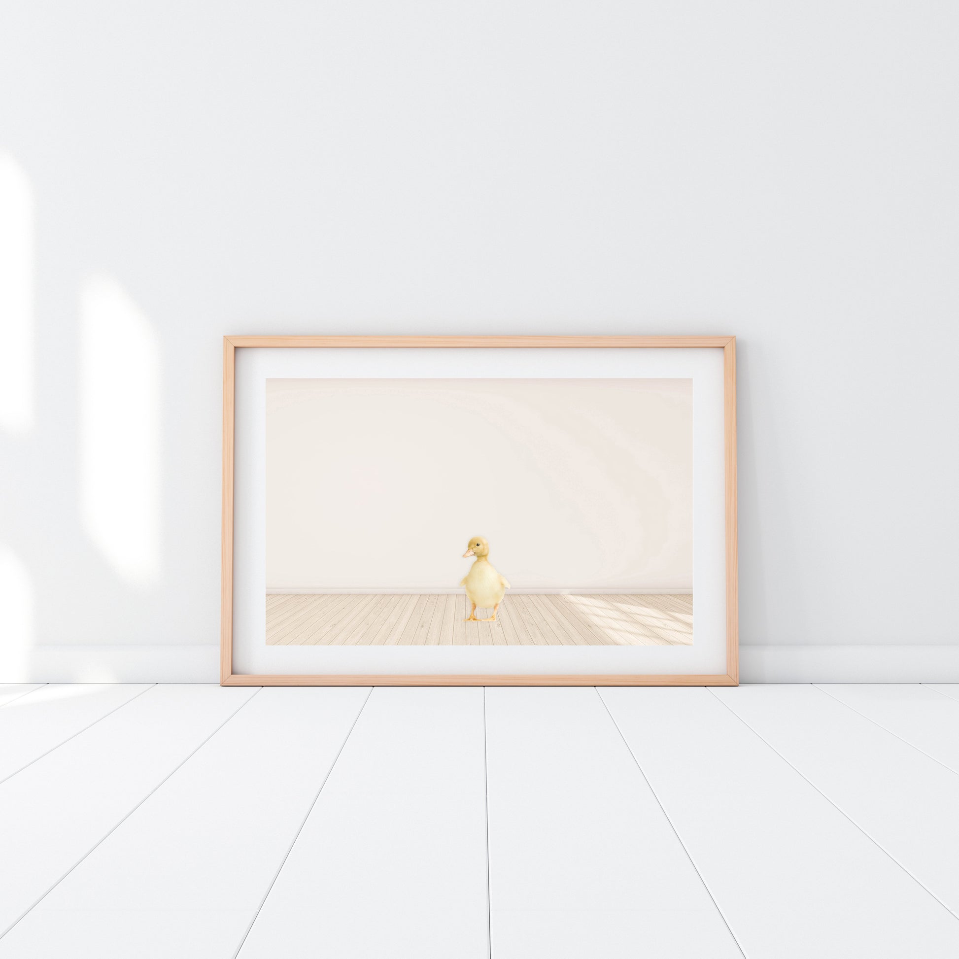 Baby Duckling - Jenna Davie