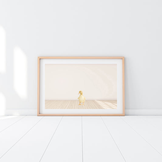 Baby Duckling - Jenna Davie