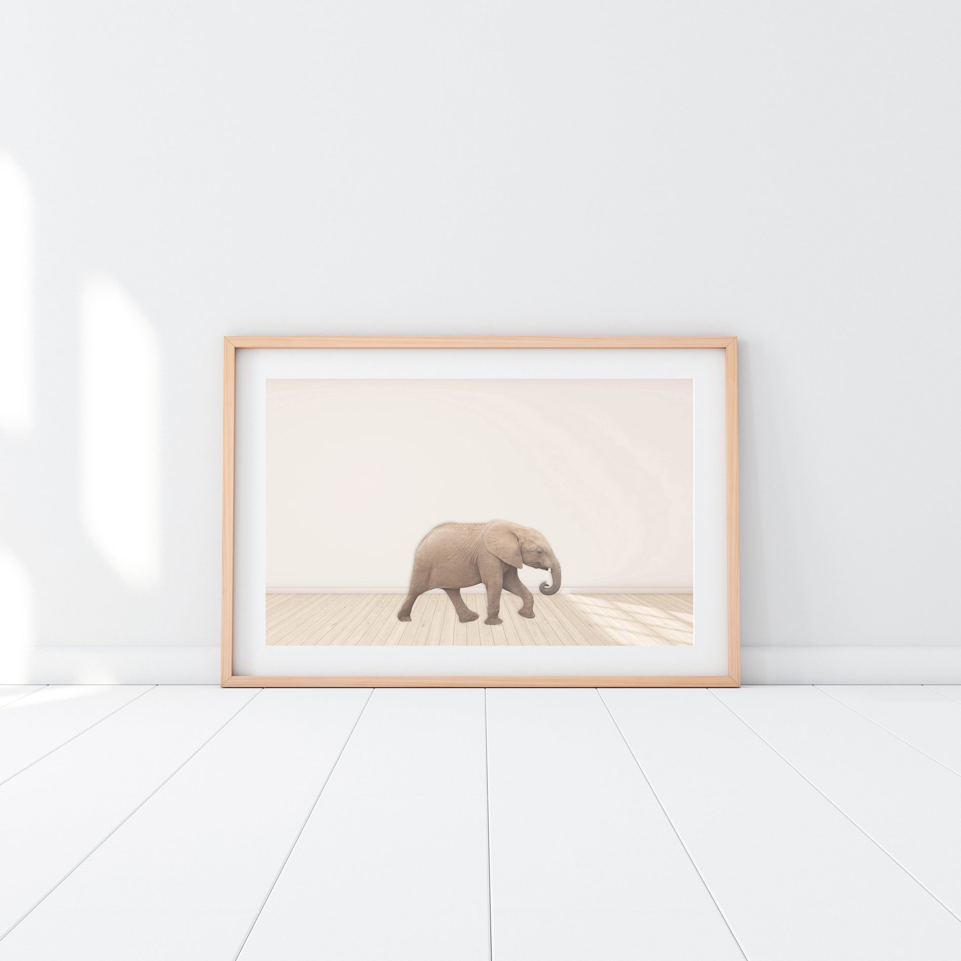 Baby Elephant - Jenna Davie