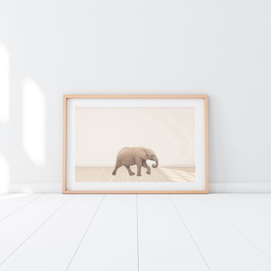 Baby Elephant - Jenna Davie