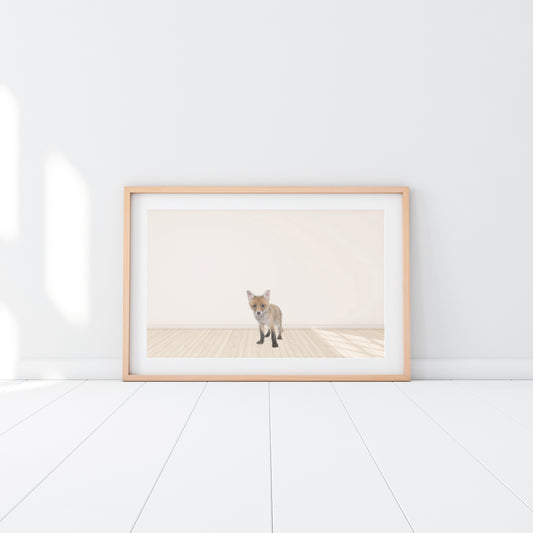 Baby Fox - Jenna Davie