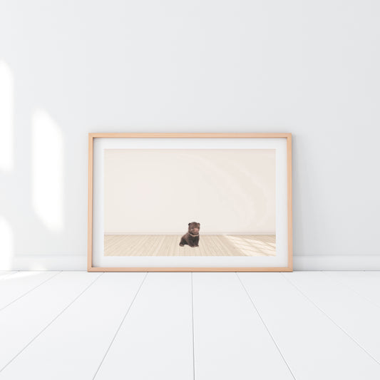 Baby Grizzly Bear - Jenna Davie