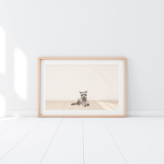 Baby Raccoon - Jenna Davie