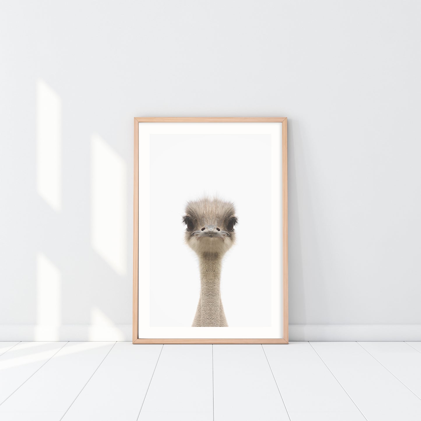Australian Emu Art Print