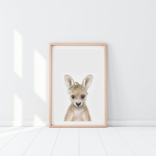 Australian Kangaroo Eucalyptus Crown Art Print