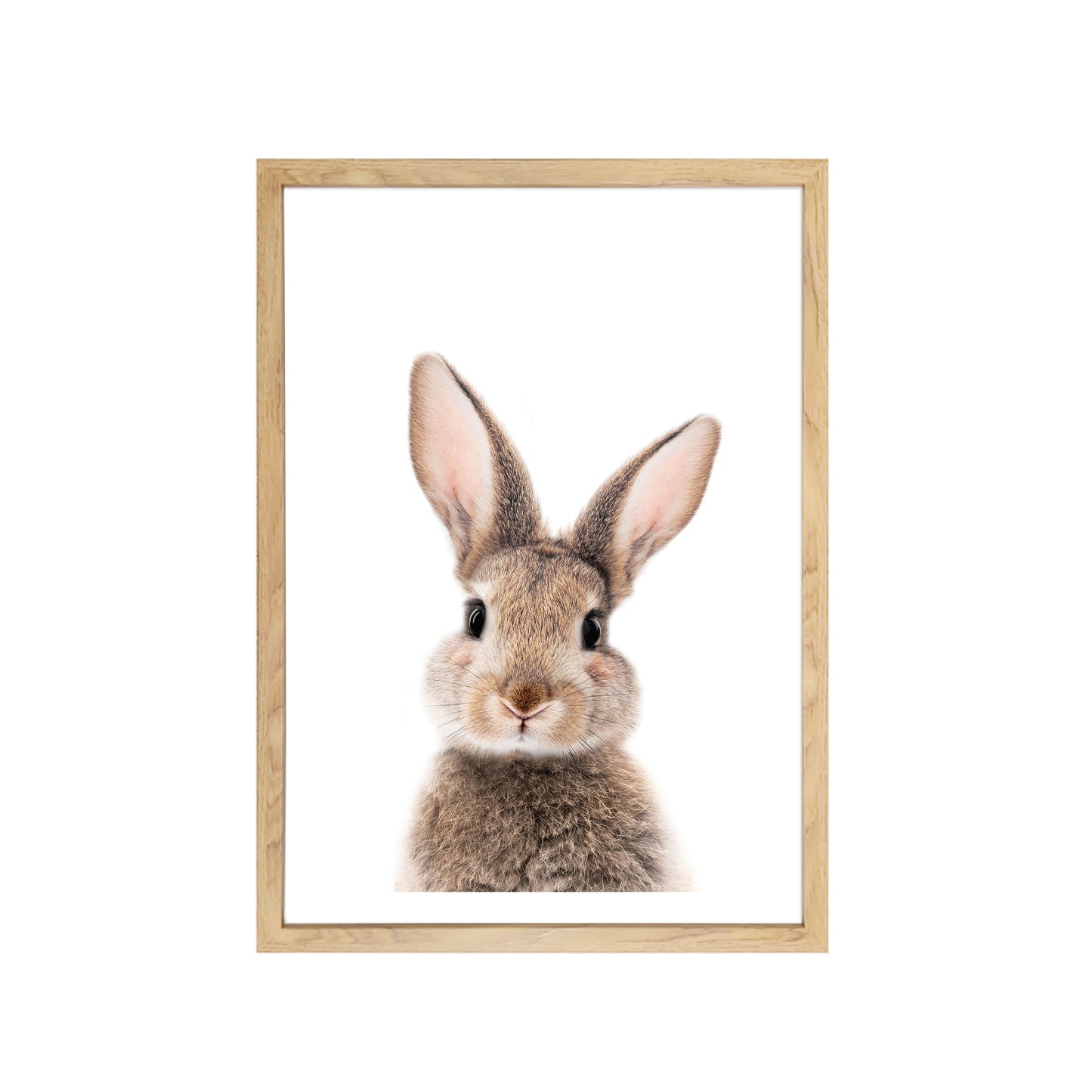 Baby Bunny Rabbit Art Print