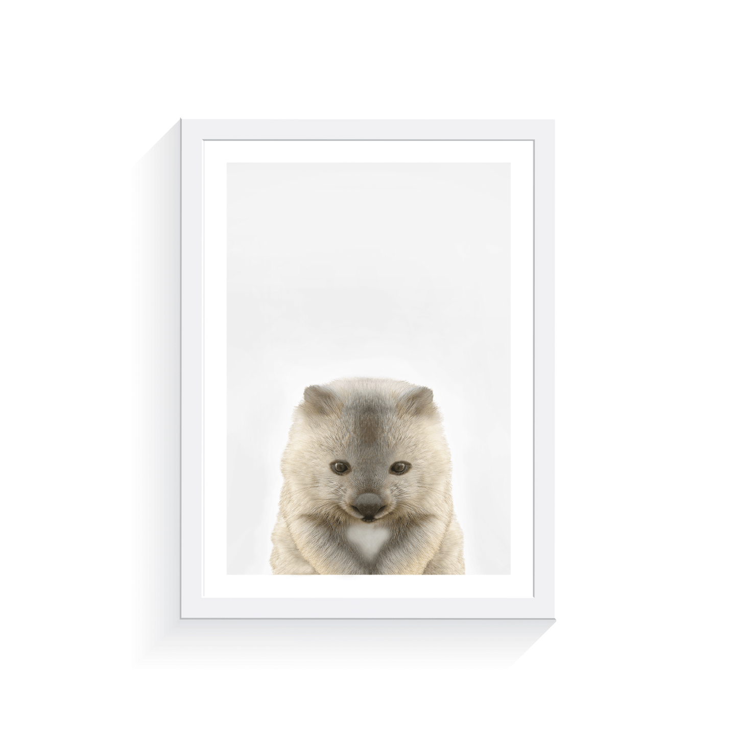 Baby Wombat - Jenna Davie