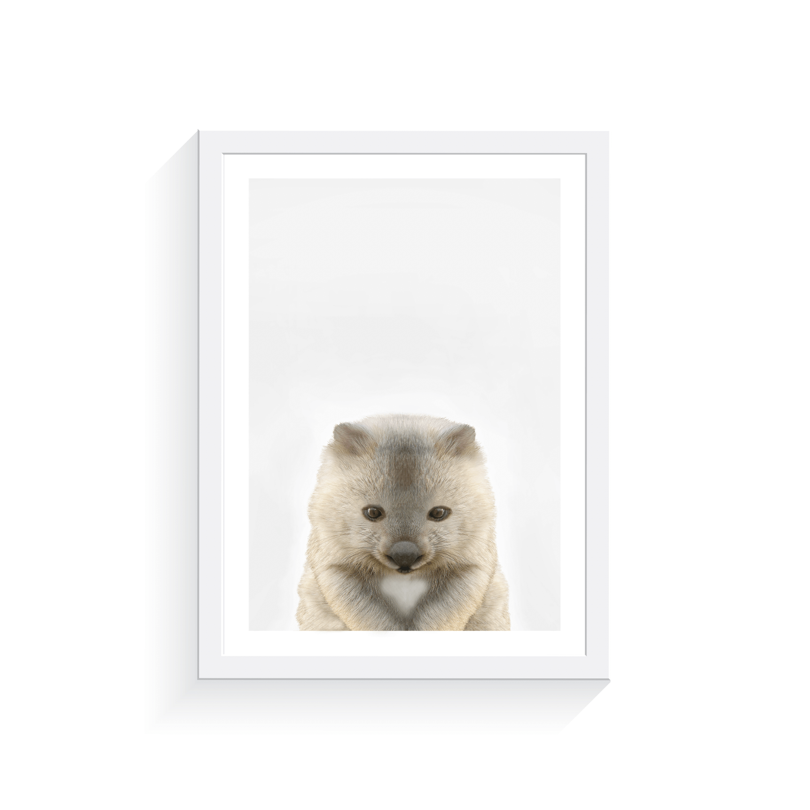 Baby Wombat - Jenna Davie