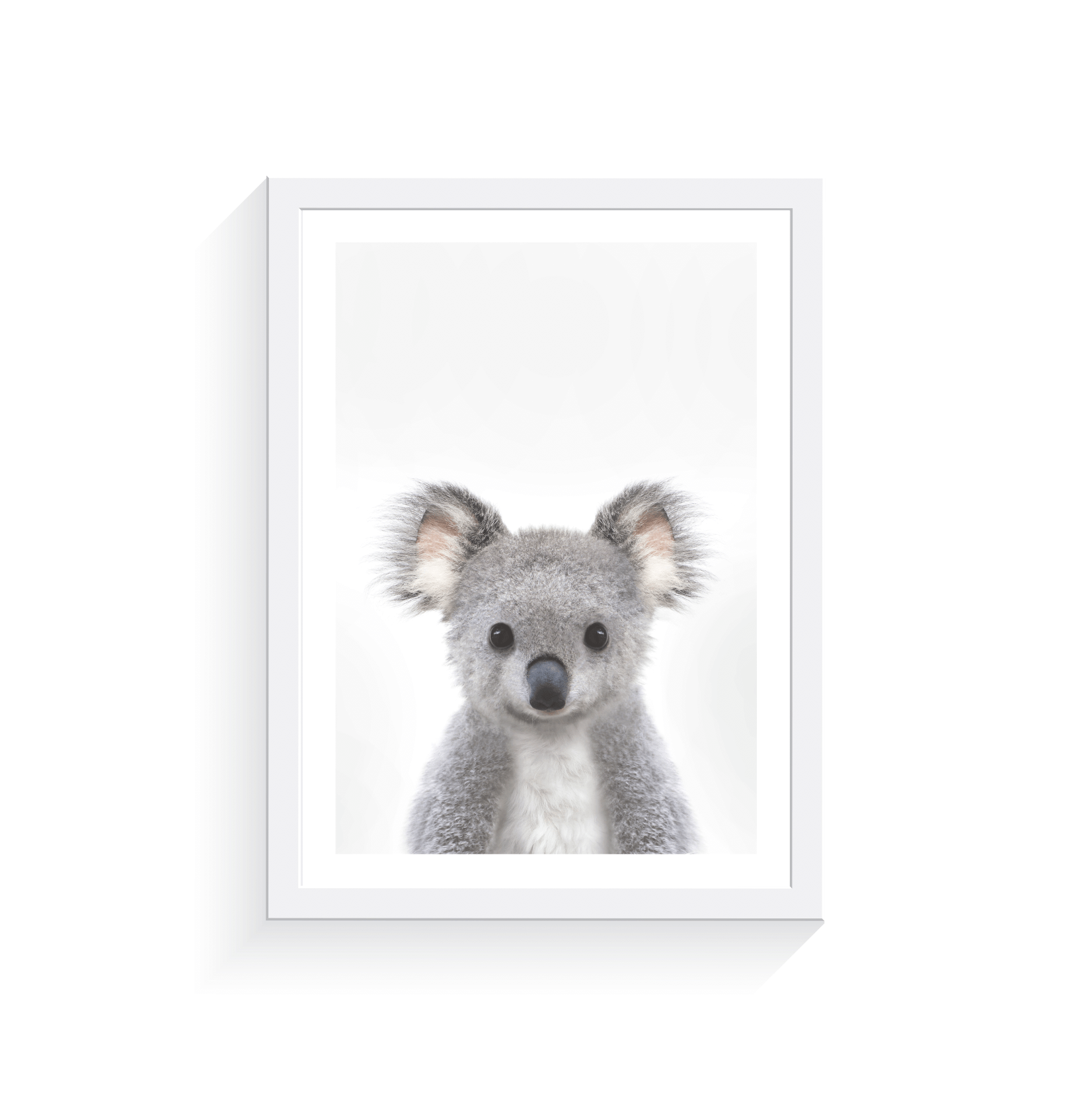 Baby Koala - Jenna Davie