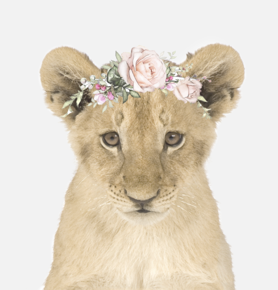 Lion Queen