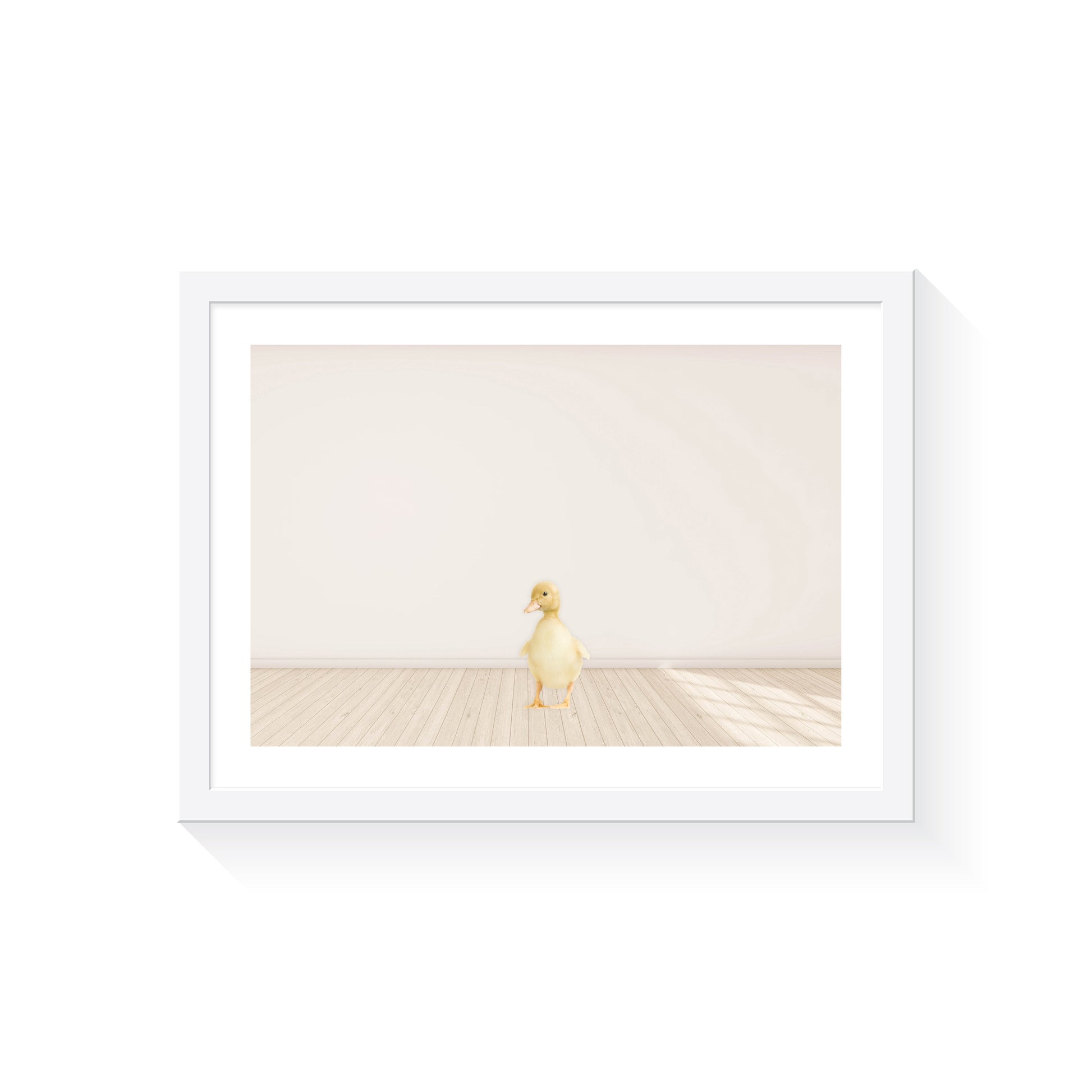 Baby Duckling - Jenna Davie