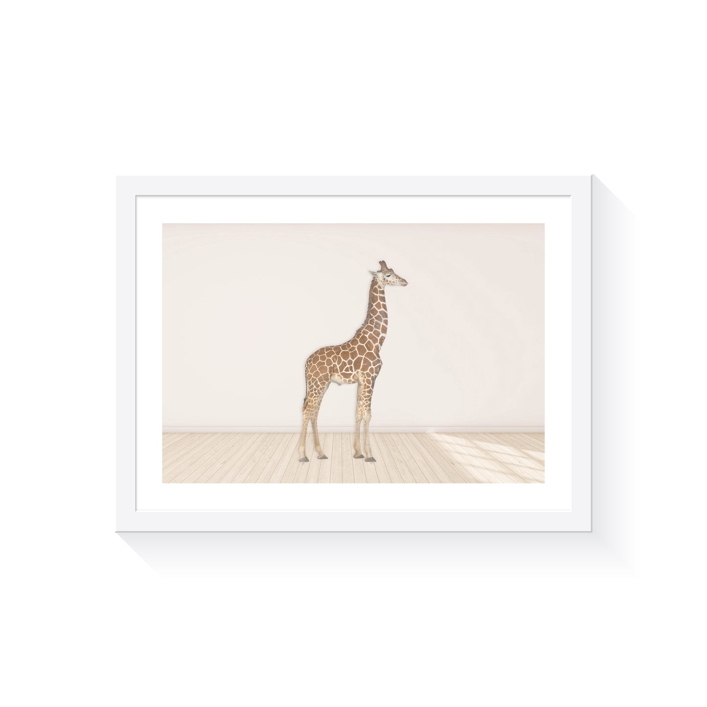 Giraffe - Jenna Davie