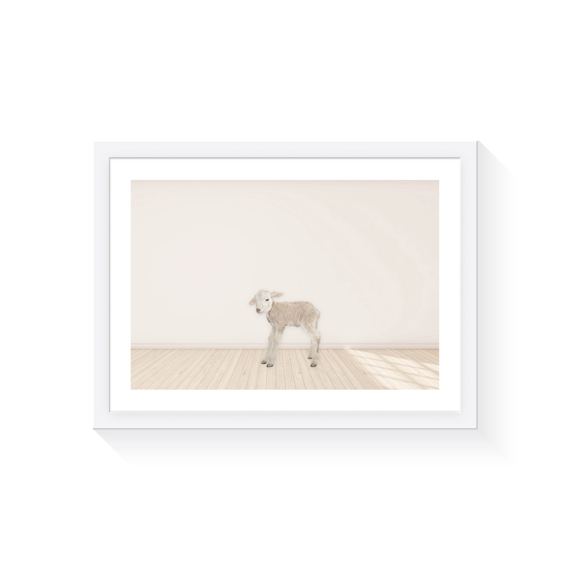 Baby Lamb - Jenna Davie