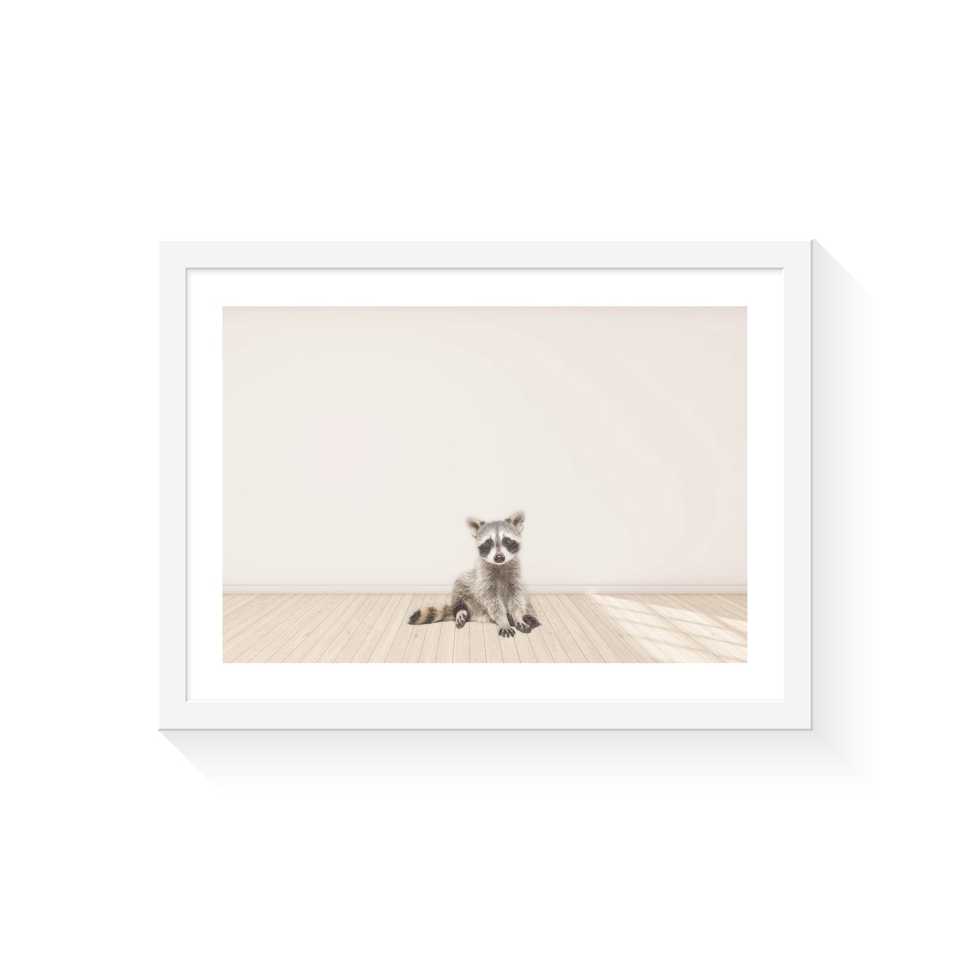 Baby Raccoon - Jenna Davie