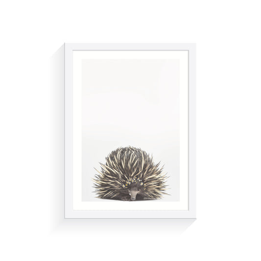 Baby Echidna Daisy Crown A4 Print Only