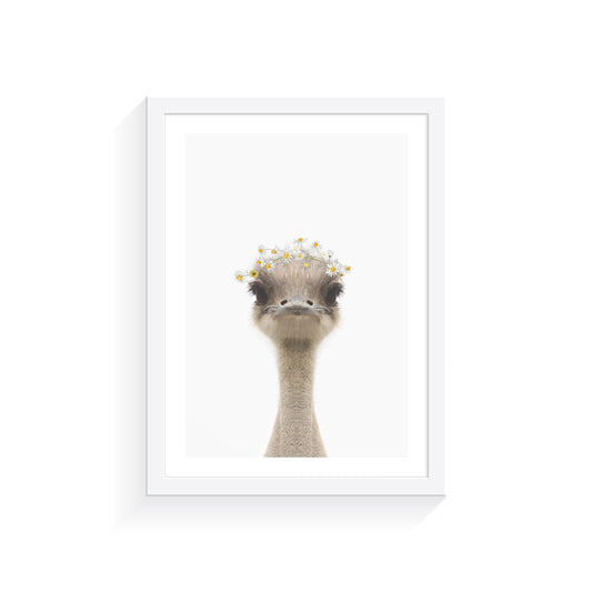 Baby Emu Daisy Crown A3 Print Only