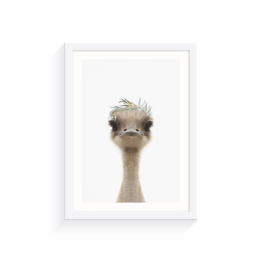 Australian Emu Eucalyptus Crown Art Print