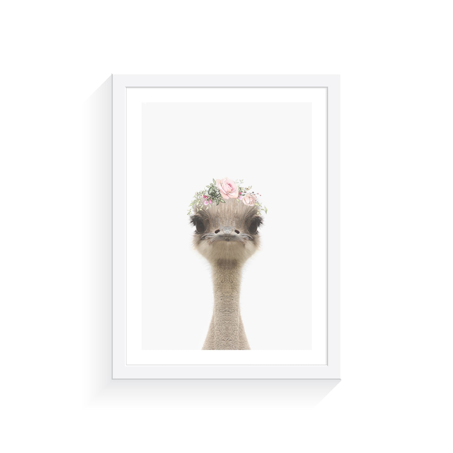 Baby Emu Rose Crown A3 Print Only