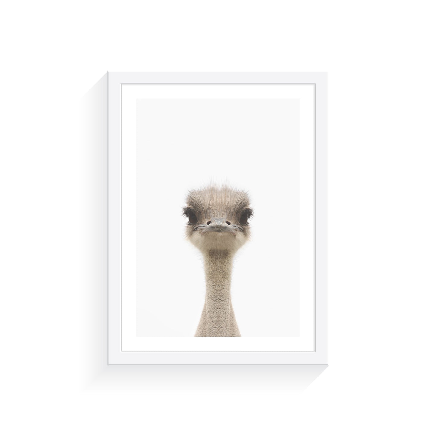 Australian Emu Art Print