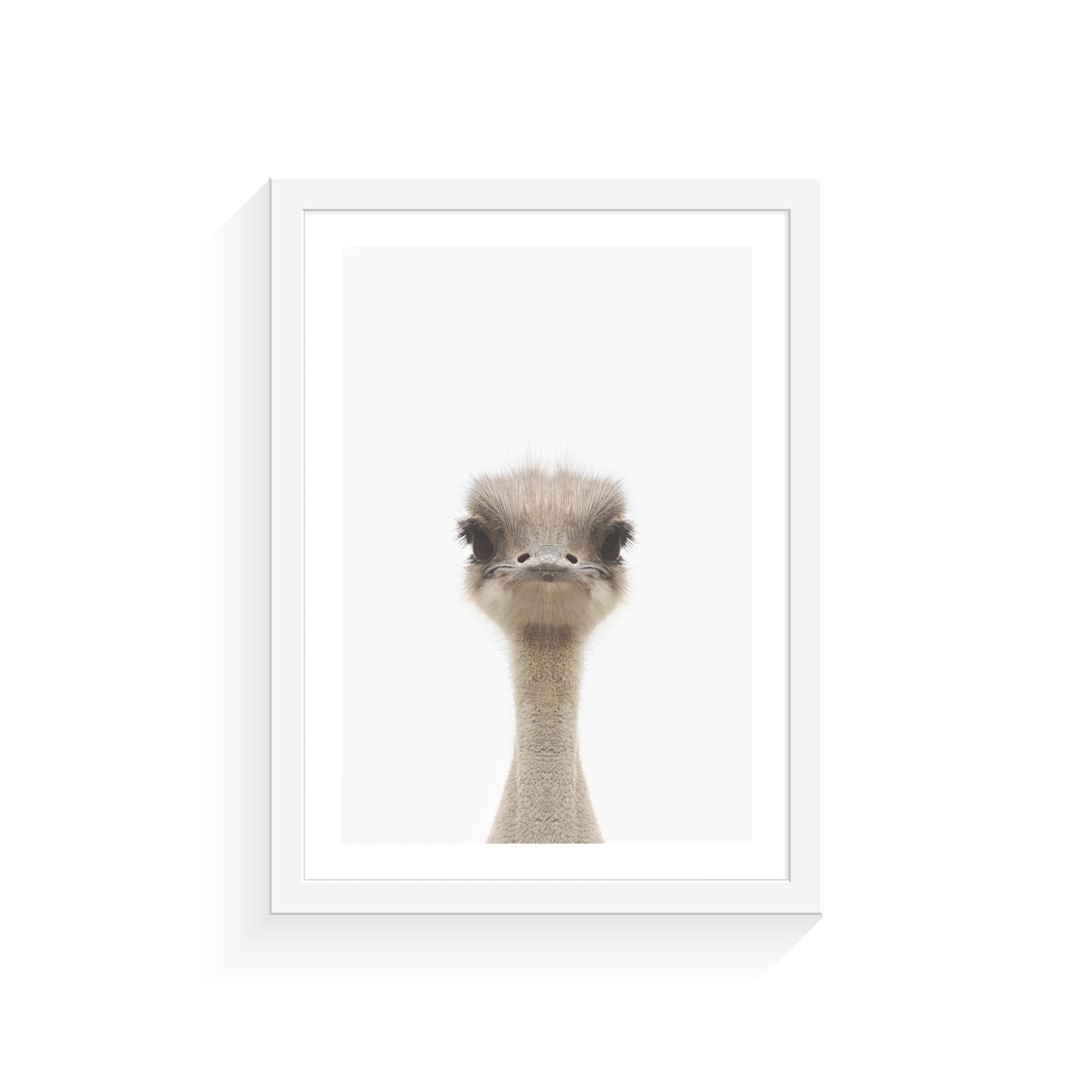 Baby Emu Print Only
