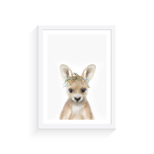 Kangaroo Eucalyptus Crown A3 Print Only