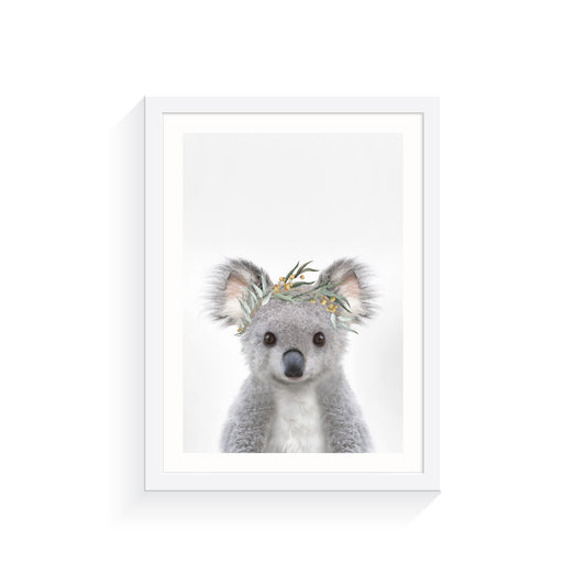 Australian Koala Eucalyptus Crown Art Print