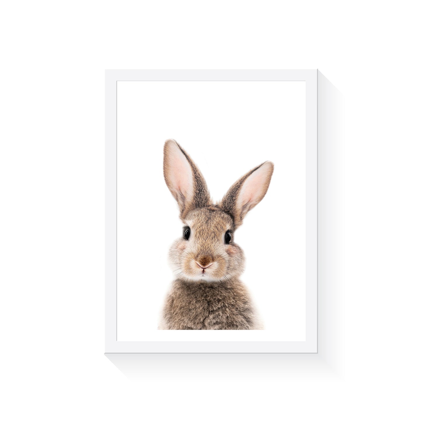 Baby Bunny Rabbit Art Print