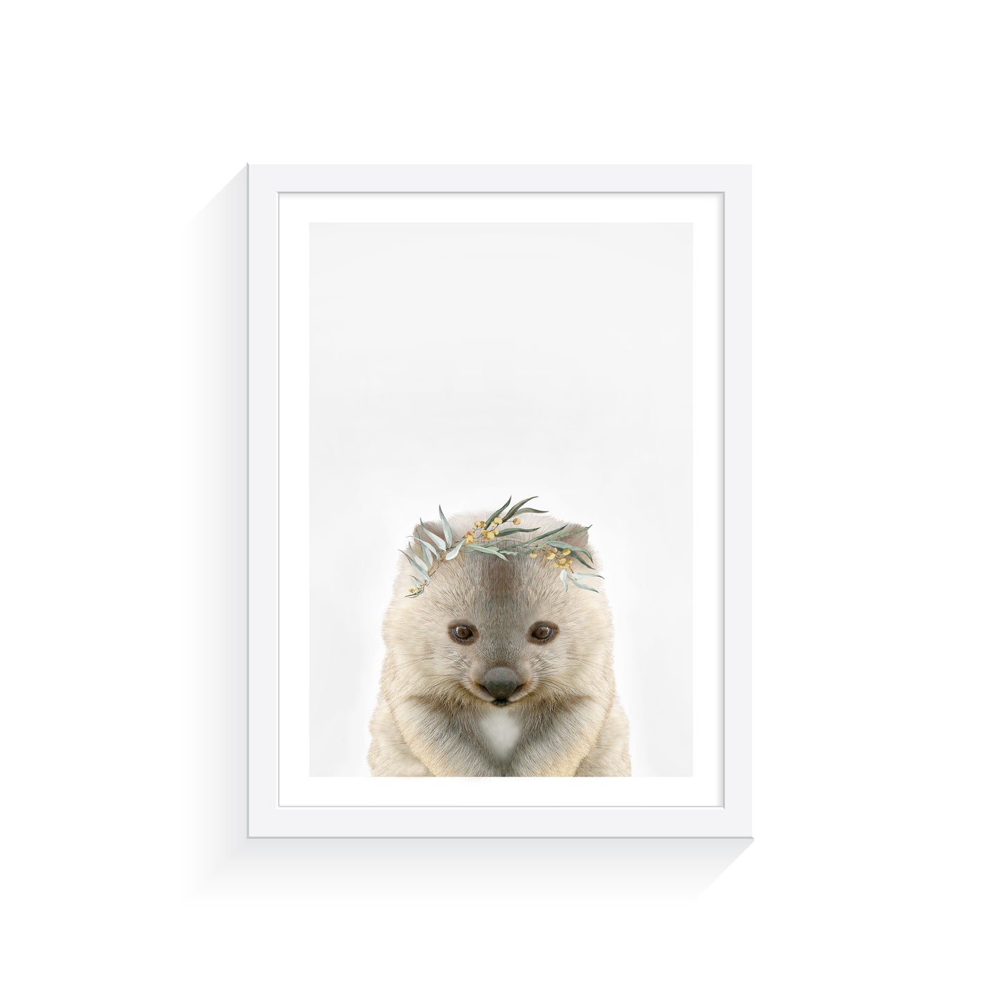 Australian Wombat Eucalyptus Crown Art Print