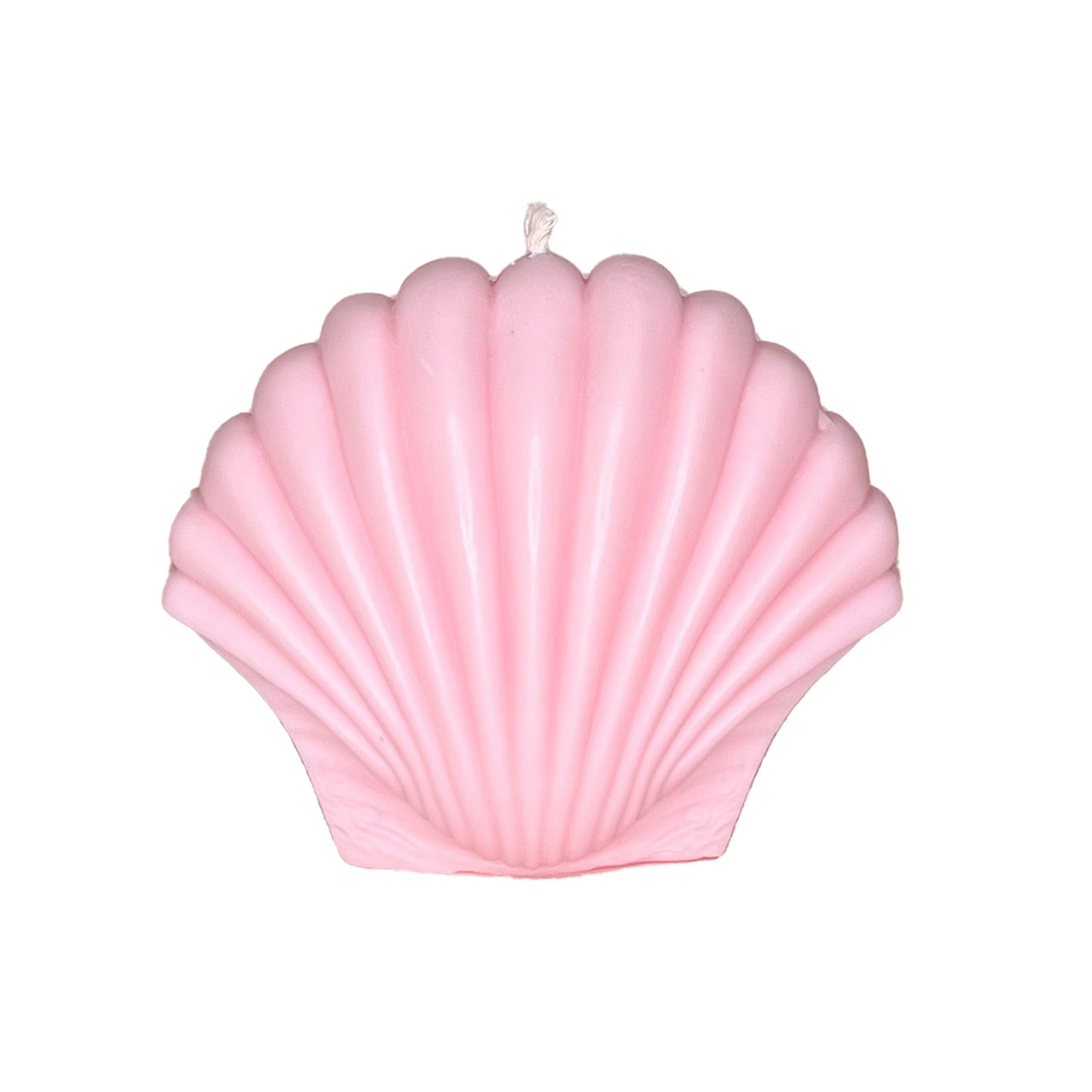 XL Sea Shell Candle